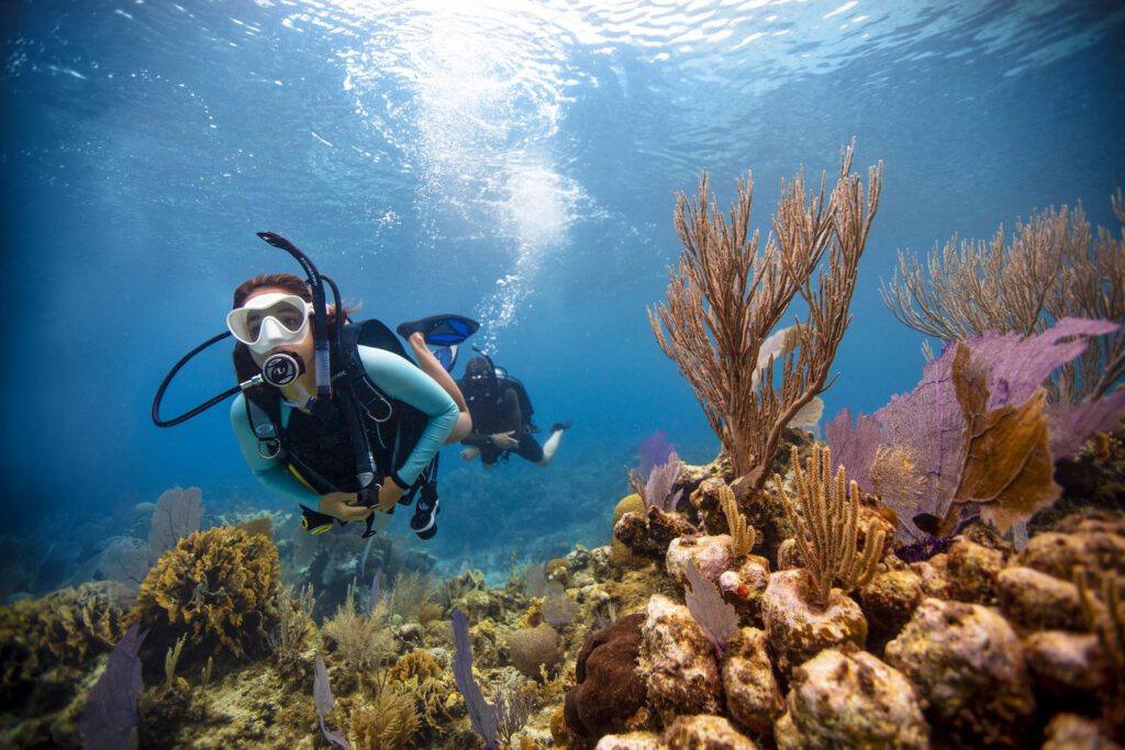 Certified two-tank scuba diving experience at Las Catalinas