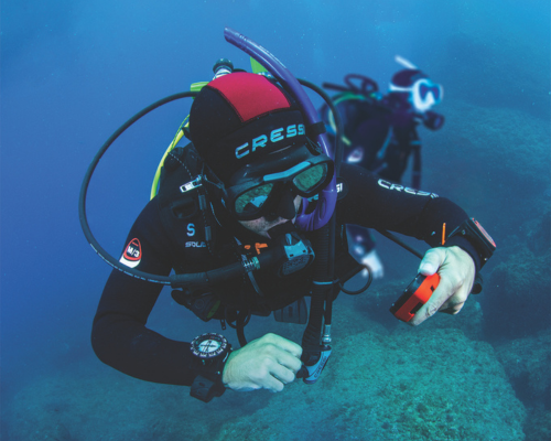 1 tank dive in las catalinas