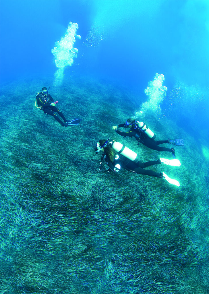 5 day diving guanacaste costa rica