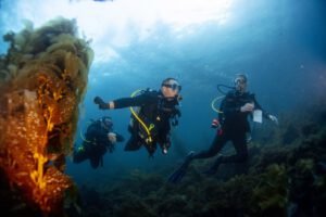 3 day diving in guanacaste costa rica