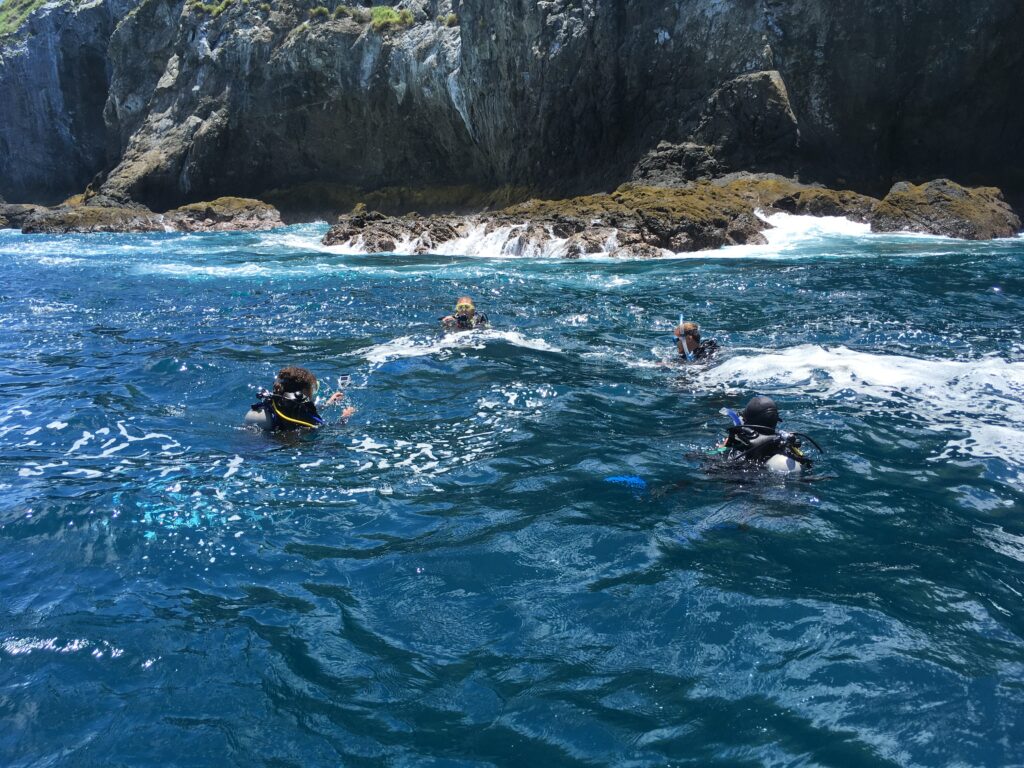 diving in las catalinas costa rica