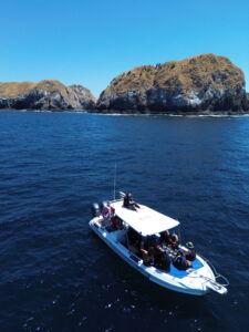 Is it better to dive in the Pacific or Caribbean side of Costa Rica?