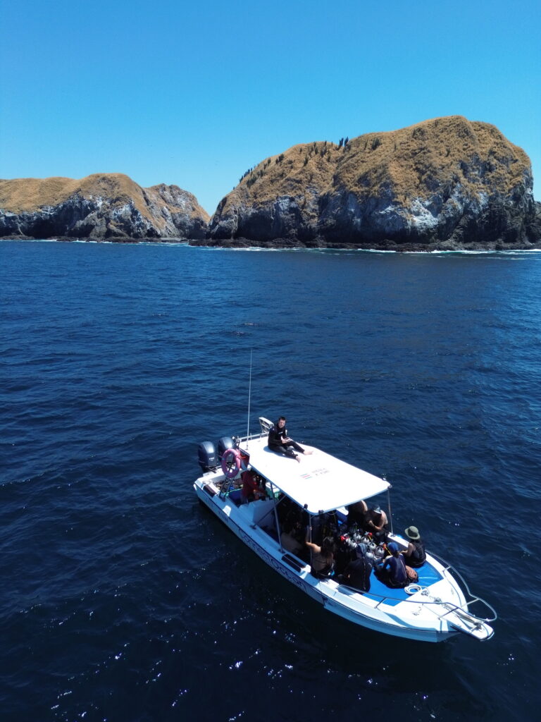 Diving in the pacific sea vs. caribbean sean