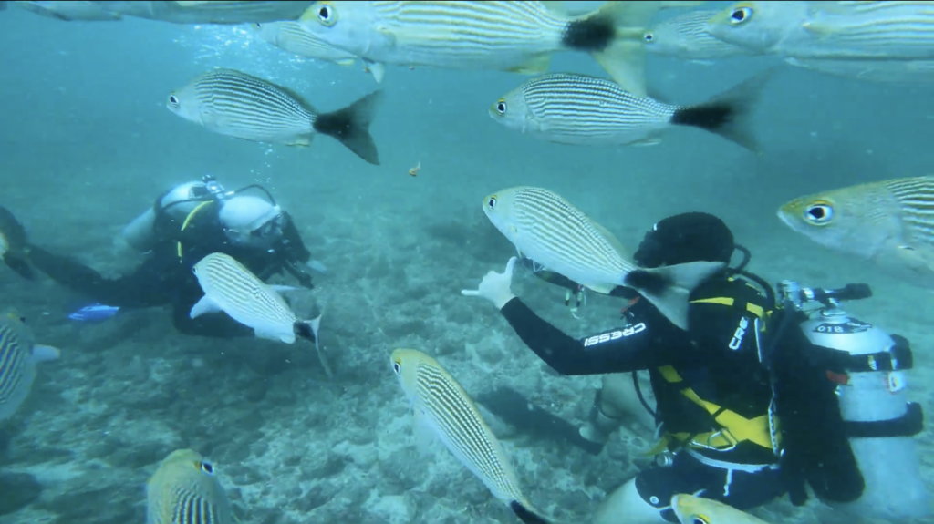 Diving first time Costa Rica