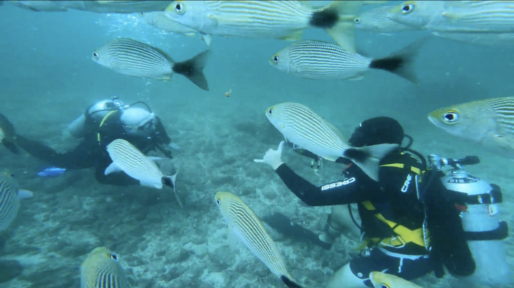 Diving first time Costa Rica