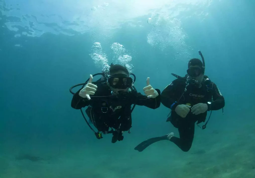 Citizen science diving experience at Las Catalinas