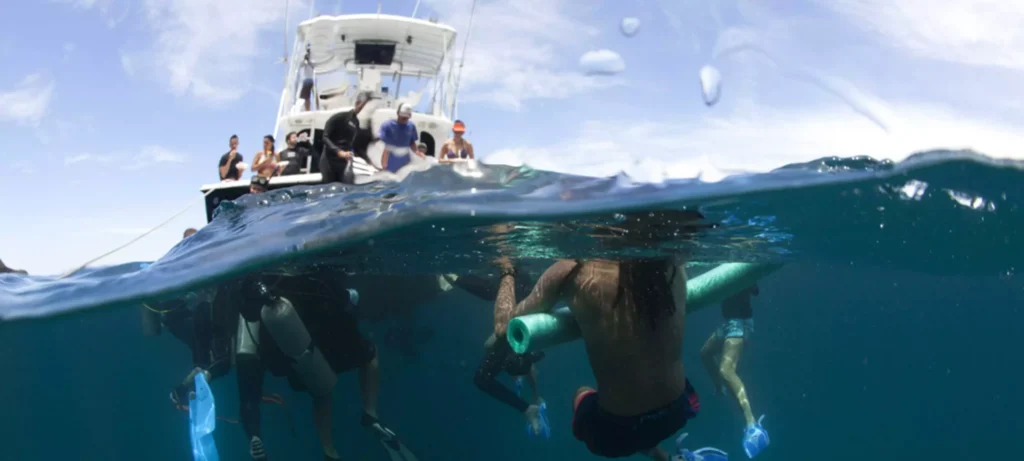 ConnectOcean team and marine conservation experience