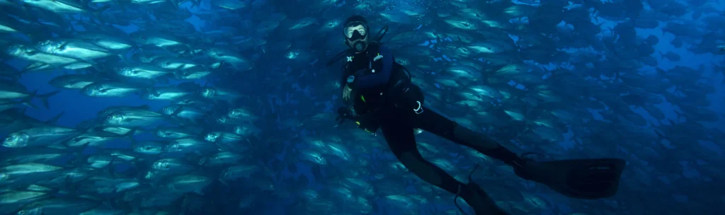 Wide marine conservation banner