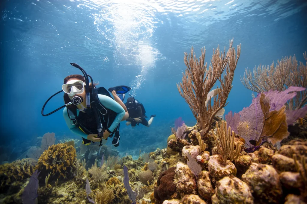 Certified two-tank scuba diving experience at Las Catalinas