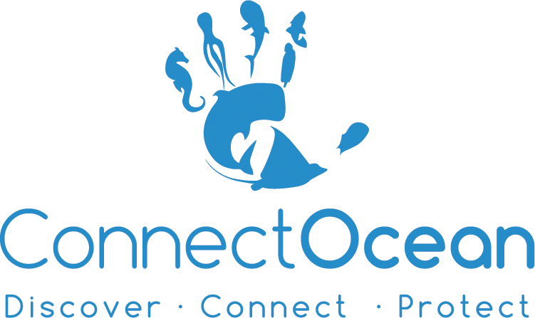 Connect Ocean Diving Costa Rica