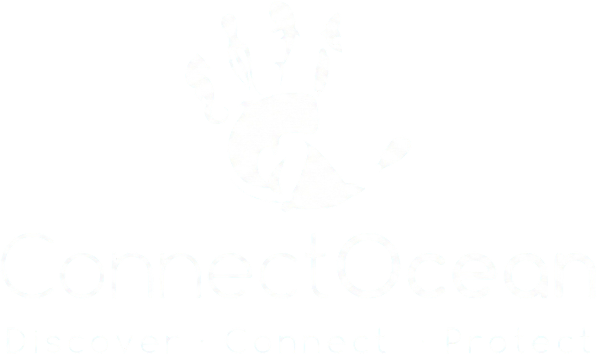 Connect Ocean Diving Costa Rica