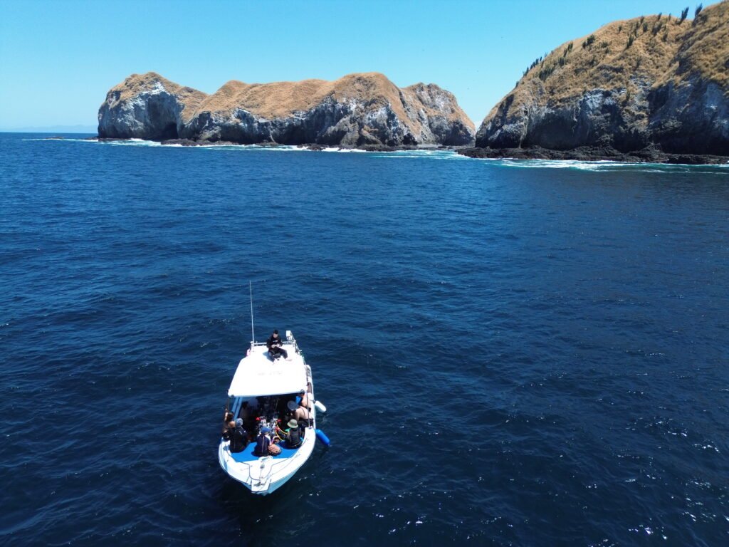 What most visitors never see beneath Costa Rica’s Pacific Ocean