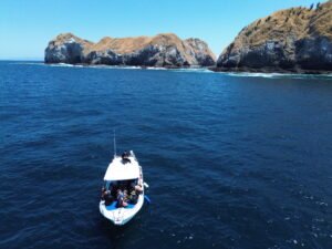 diving in guanacaste